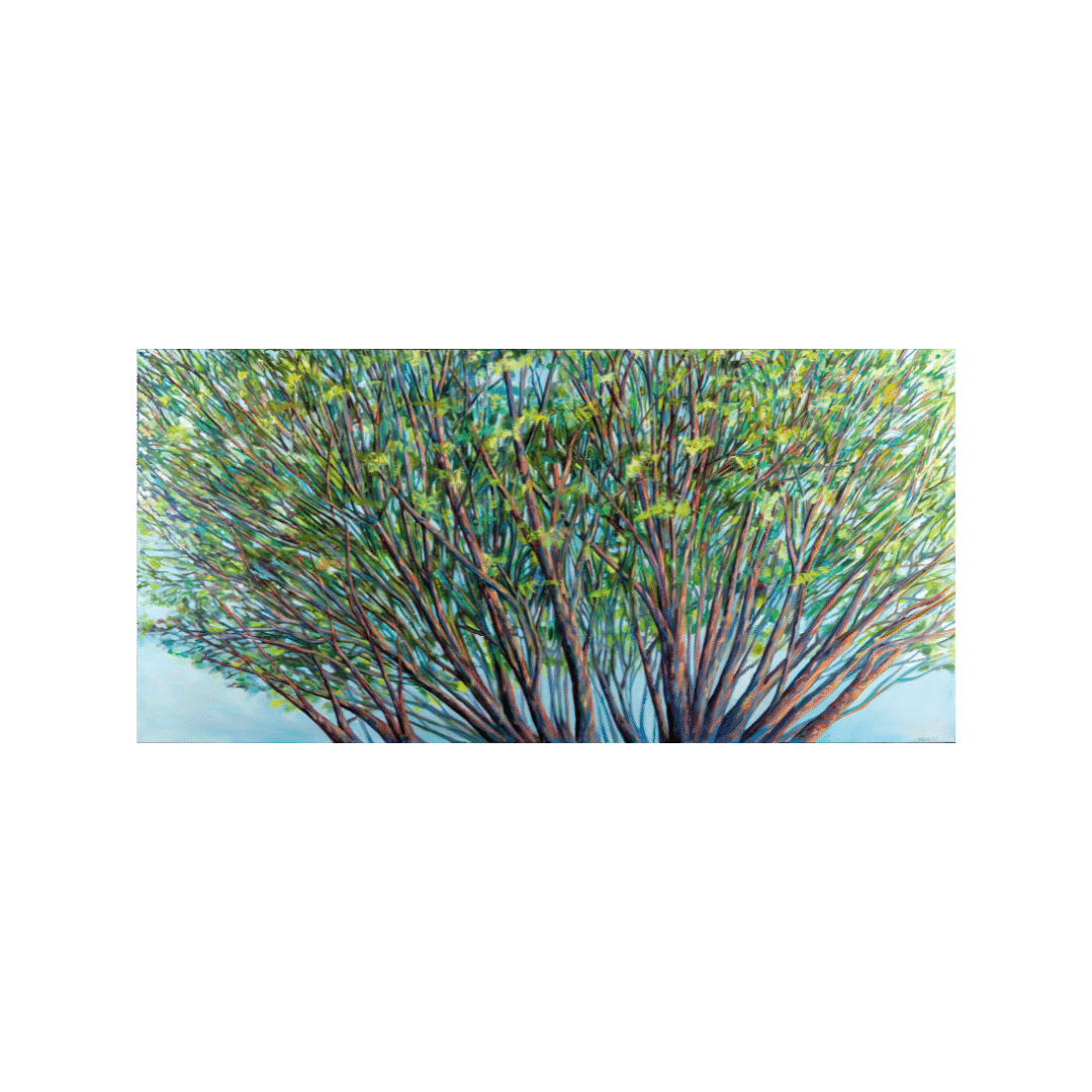 Ellen Nemetz Trees II 36” x 60” Oil on Canvas